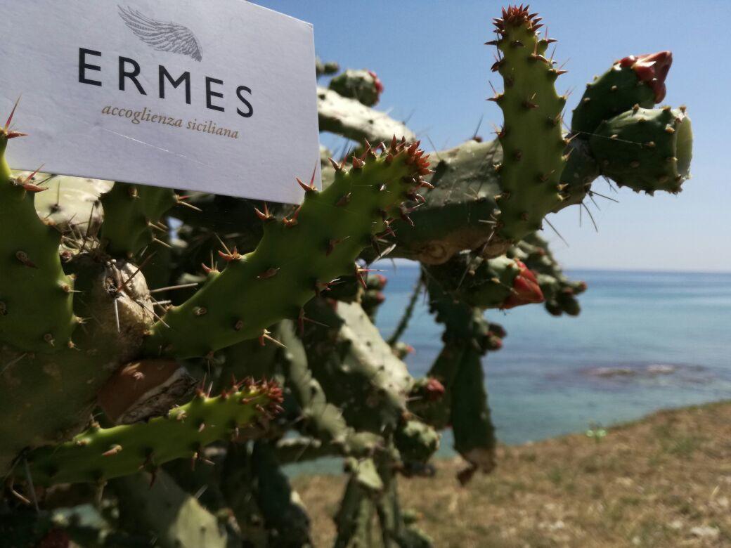 Ermes Avola Exterior foto